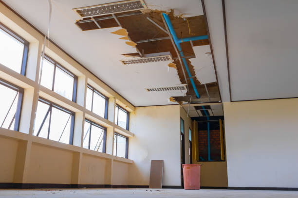 Best Carpet water damage restoration  in Norcross, GA