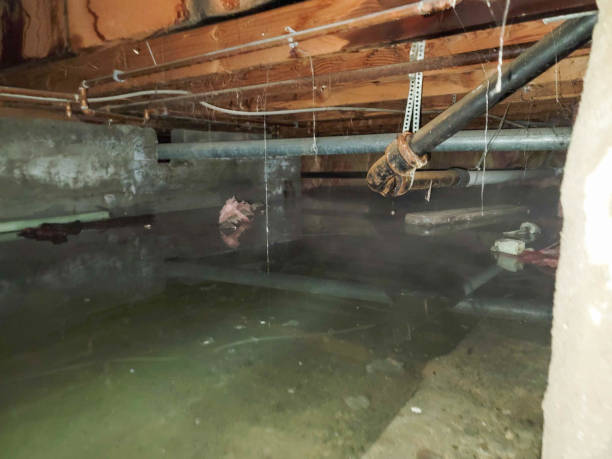 Water damage restoration process in Norcross, GA