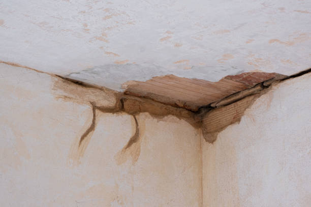 Best Water damage restoration process  in Norcross, GA