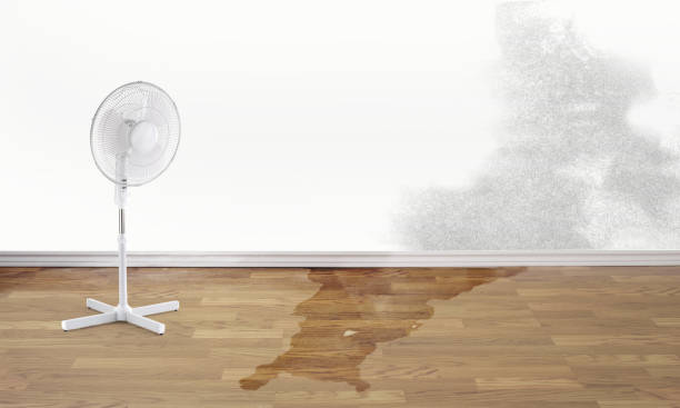 Best Residential water damage restoration  in Norcross, GA