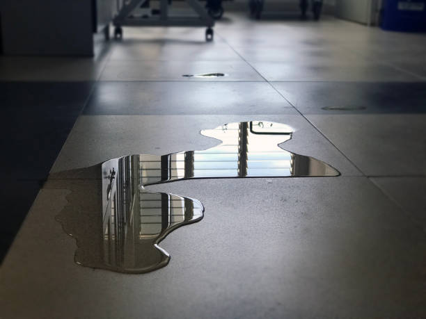 Best Water damage restoration near me  in Norcross, GA