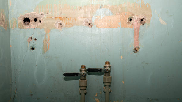 Best Water damage repair service  in Norcross, GA