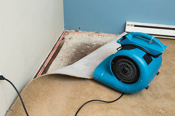 Best 24/7 water damage repair  in Norcross, GA